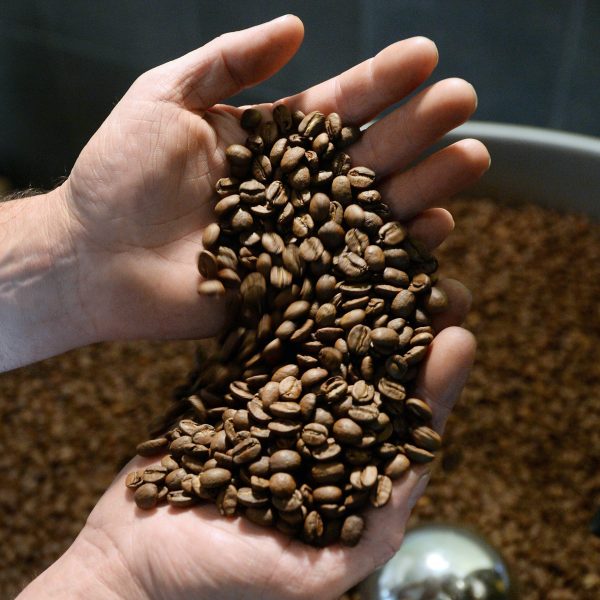 coffee-robusta-vorpur