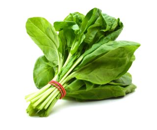 vorpur-bd-Vegetable–Organic-Spinach